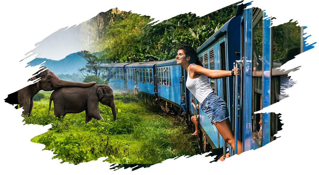 about Summer Ceylon Holiday  tours lanka