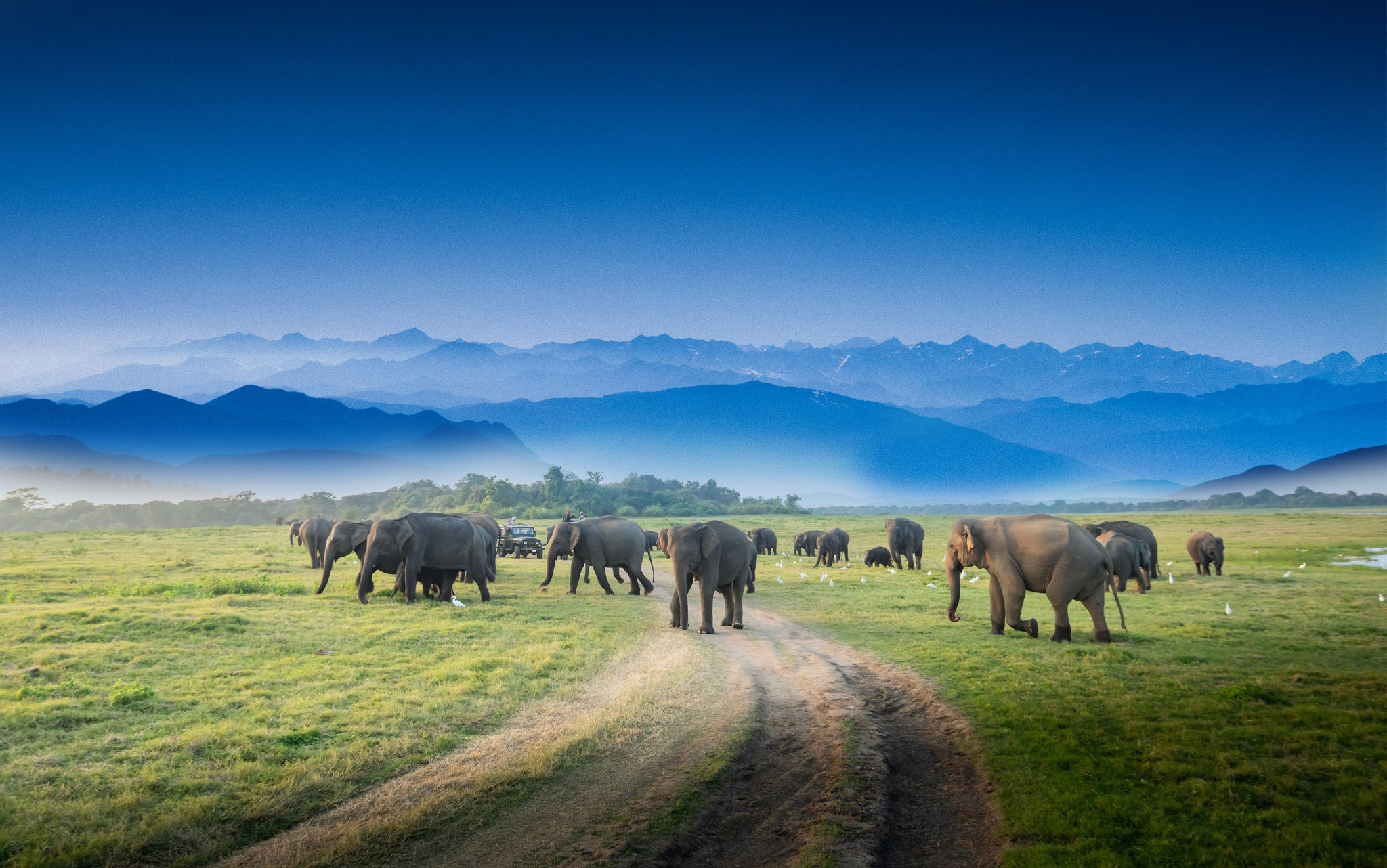 Summer Ceylon Holiday  tours lanka